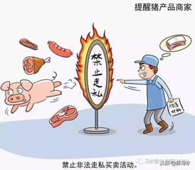 習(xí)水豬肉放心購，飼料原料供應(yīng)穩(wěn)——解析非洲豬瘟防控下的市場(chǎng)保障