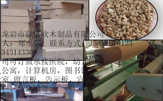 探訪漳平市生態品軟木制品廠 當自然材質遇見匠心工藝